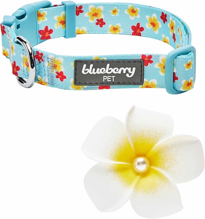 Blueberry Pet Fragrant Plumeria Adjustable Dog Collar with Detachable Accessory, Aqua, Small, Neck 12"-16"