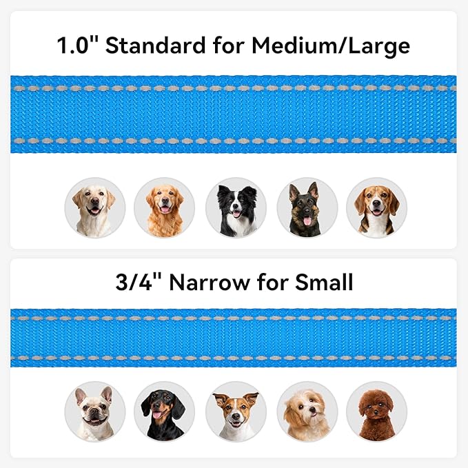 Joytale Reflective Dog Leash for Small Dogs, 5 FT x 3/4", Sky Blue | Heavy Duty Nylon Webbing, Padded Handle for Comfort, Visible at Night, for Walking & Training