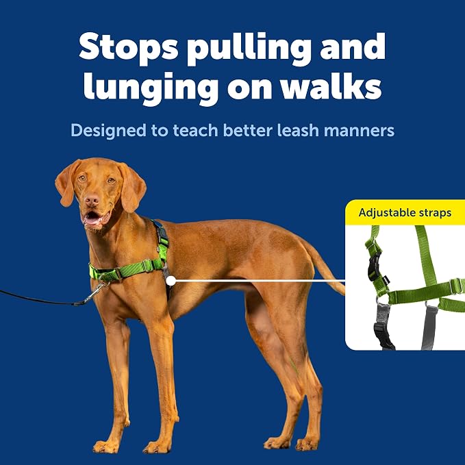 PetSafe Easy Walk No-Pull Dog Harness - Ultimate Harness to Help Stop Pulling - Pull-Free Walks - Take Control & Teach Better Leash Manners - Patented Martingale Loop Design - Apple Green, Medium