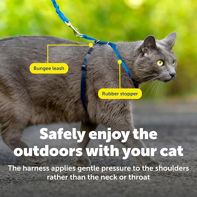 PetSafe Come With Me Kitty Harness and Bungee Leash, Harness for Cats, Large, Royal Blue/Navy, CWMK-L-RYL | Adjustable 2-Point Fit Applies Gentle Pressure to Shoulders, Not Neck, for Average and Large Cats with 13 in - 18 in Girth