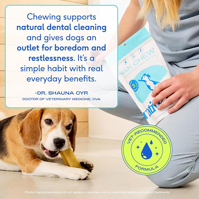 Native Pet Sockeye Salmon Oil for Dogs and Cats (8 Oz.) & Yak Chews (3 Medium Chews) - All Natural Dental Sticks Made with Yak Cheese & Pure Omega-3 Fish Oil Promotes Healthy Skin & Shiny Coat