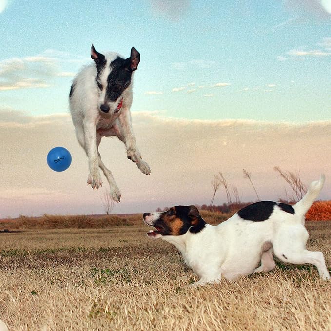 Dog Balls Indestructible, Solid Rubber Bouncy, Large Breed