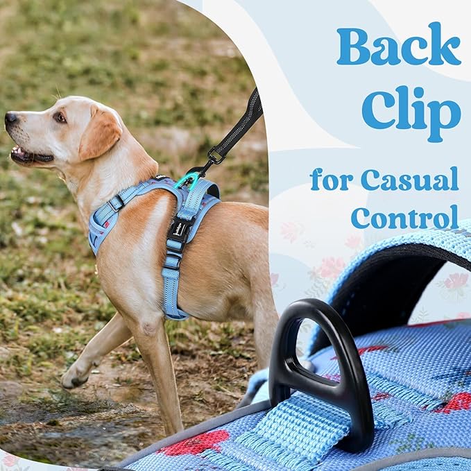 rabbitgoo Dog Harness Small Sized, Updated Easy On & Off with 3 Buckles | No Pull No Choke, Walking with 2 Clips and Handle, Adjustable Soft Reflective, Floral Blue, Small