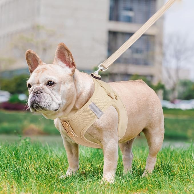 PUPTECK Dog Harness and Leash Set for Small Medium Dogs No Pull Step-in Soft Mesh Puppy Cat Vest Harnesses Reflective at Night, Denim Burlywood M