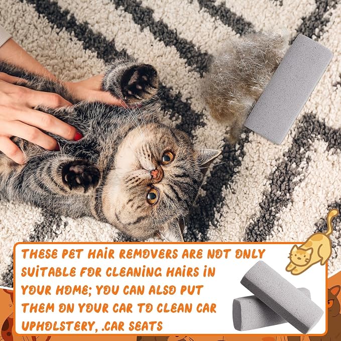 Abbylike 6 Pcs Pet Hair Remover Pumice Stone Reusable Portable Dog Cat Hair Removal Tool Scraper for Carpet,Couch, Bedding, Car Upholstery, Furniture Cleaning (6.1 x 2.56 x 1.4 Inch,Gray)