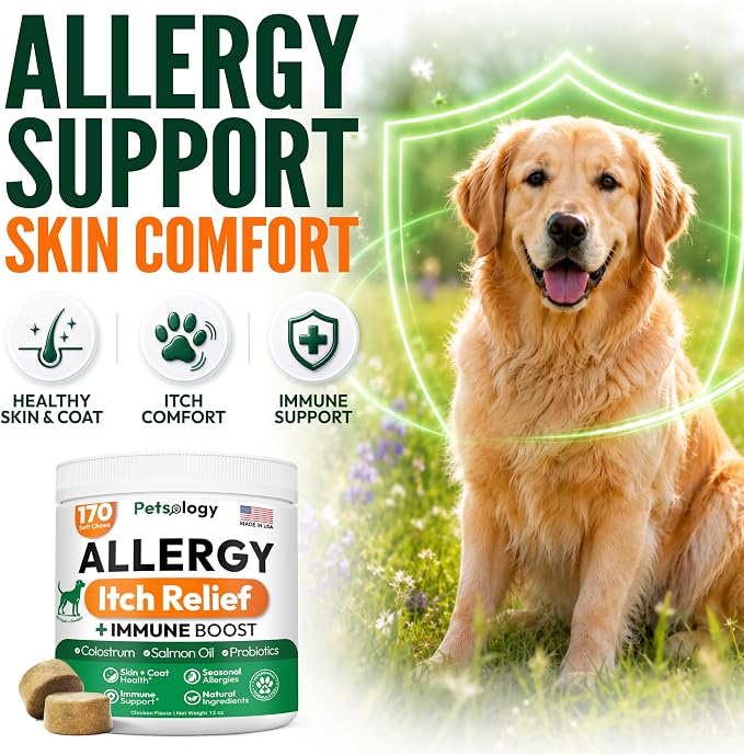 Dog Allergy Relief Chews, 170 Dog Allergy Chews, Itch Relief for Dogs