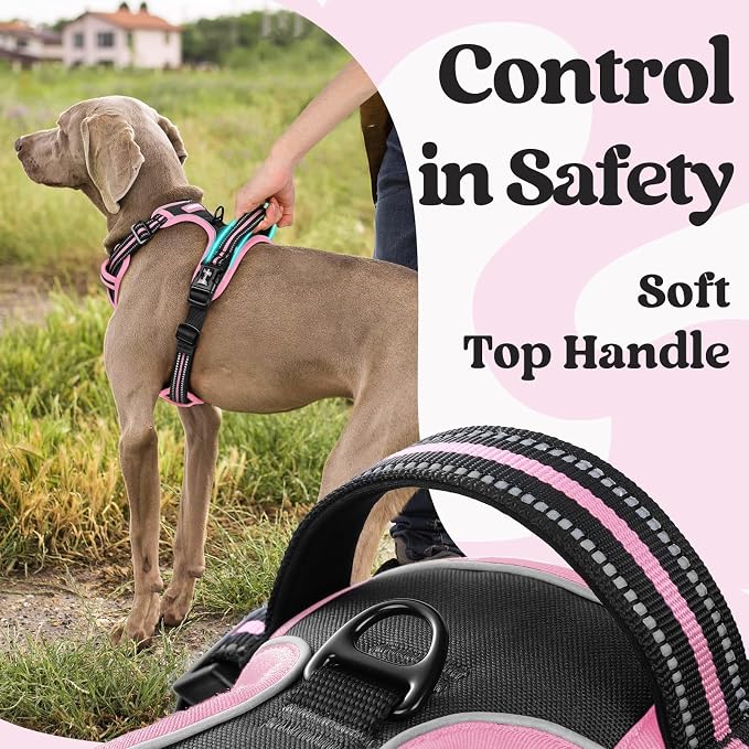 rabbitgoo Dog Harness for Large, Updated Easy On & Off with 3 Buckles | No Pull No Choke, Walking with 2 Clips and Handle, Adjustable Soft Reflective, Black & Pink, X-large