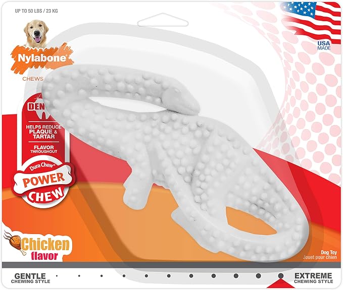 Nylabone Power Chew Dental Dinosaur Dog Chew Toy, Chicken Flavor, Large | Large breeds, durable dog toys for aggressive chewers, long lasting, discourages destructive chewing, for dogs up to 50 lbs