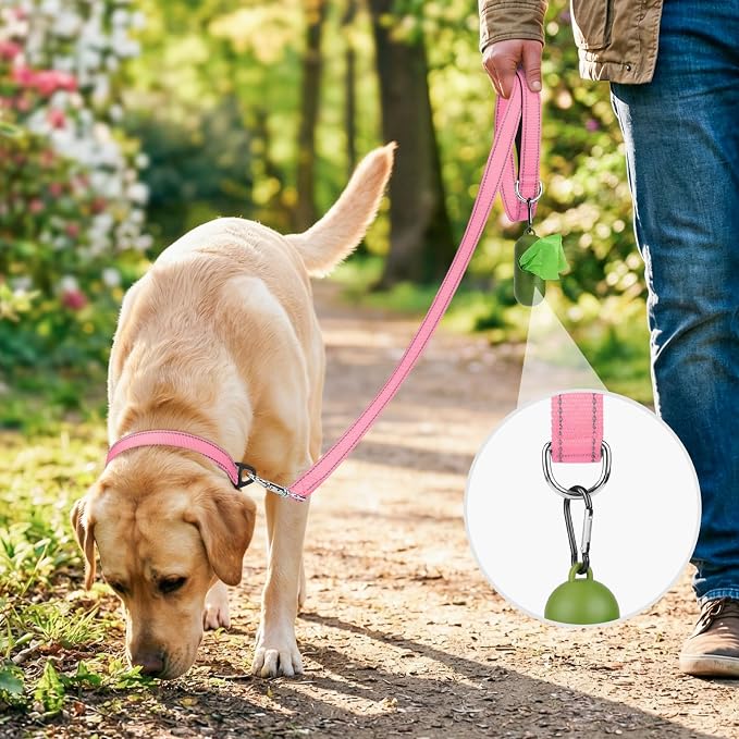 Joytale Reflective Dog Leash for Small Dogs, 4 FT x 3/4", Pink | Heavy Duty Nylon Webbing, Padded Handle for Comfort, Visible at Night, for Walking & Training