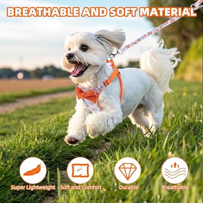 PUPTECK Dog Harness and Leash Set Small Sized, Lightweight Step-in Puppy Harness, Escape Proof No Pull Cute Pet Vest Harnesses, Flower Orange M