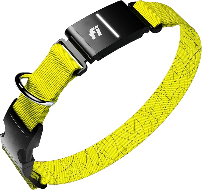 Fi Series 3+ GPS + Health Dog Collar, Yellow, Medium, 12-Month Membership | Smart GPS dog collar with live tracking, health & behavior, Escape Alerts, LED light. Waterproof and Apple Watch compatible.
