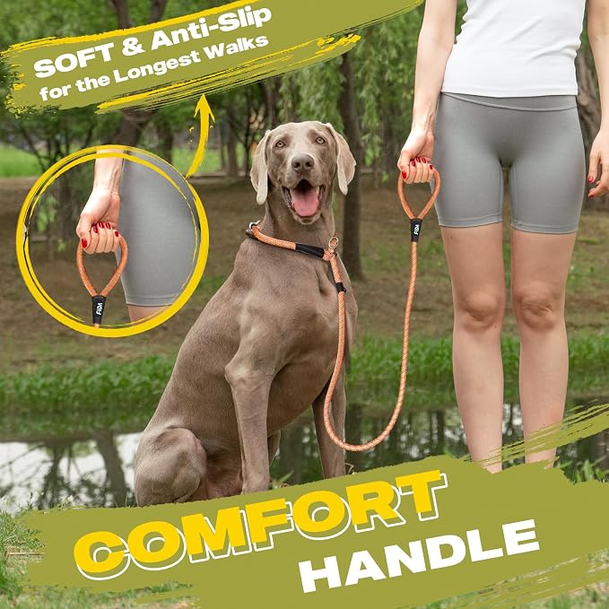 Fida Durable Slip Lead Dog Leash, 6 FT x 3/8" Heavy Duty Comfortable Strong Rope Slip Lead for Small Dogs and Puppies, No Pull Pet Training Leash with Highly Reflective (3/8", Orange)