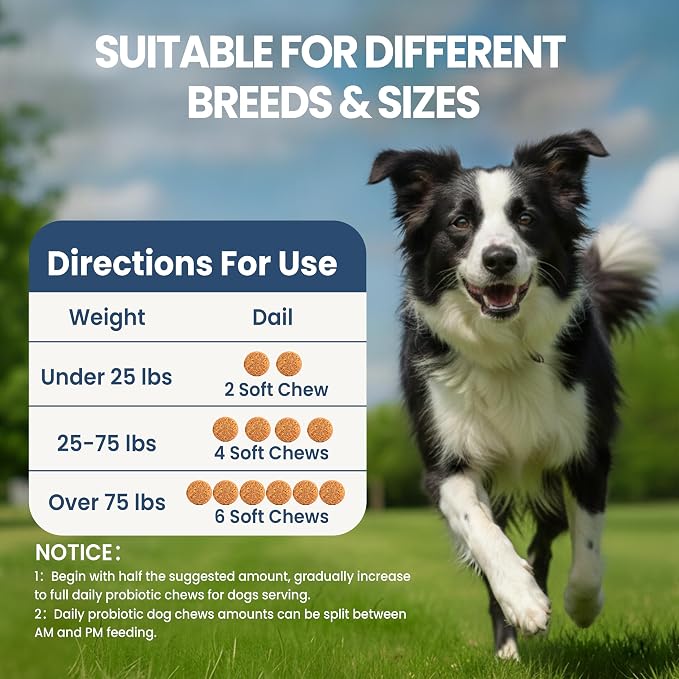 Probiotics for Dogs, Dog Probiotics Chews for Digestive Health &Gut Health