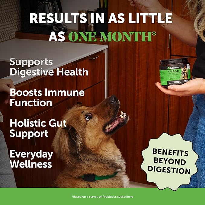 Pet Honesty Probiotic Chews for Dogs - Pumpkin, 180ct