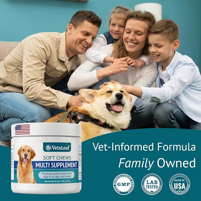 Dog Multivitamin Chews - Glucosamine, Probiotics, Salmon Oil, Mushroom Blend & Ashwagandha - Daily Dog Vitamins for Immune, Joint, Skin, Gut and Energy Support - Made in USA - 60 Count