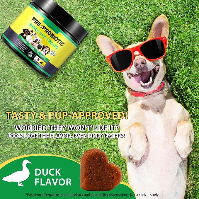 Probiotics for Dogs Chews – Digestive & Gut Health Support, Helps Maintain Stool Quality & Balance During Food Changes, with Prebiotics & Enzymes, Chicken Flavor, 120 Soft Chews