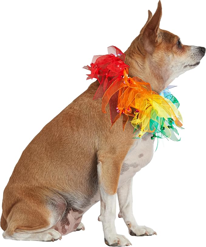Rubies Decorative Rainbow Pet Collar for Dogs or Cats, Small/Medium