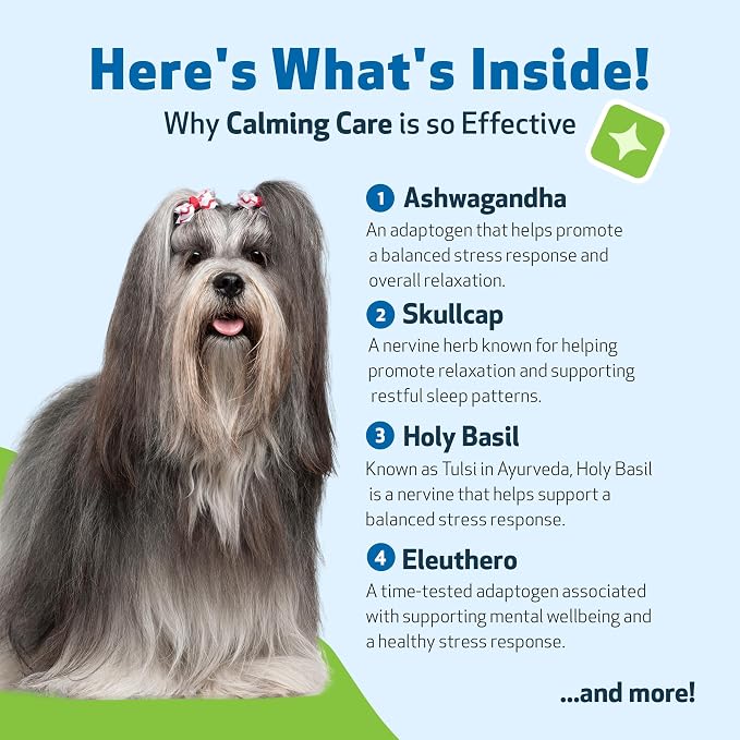 Pet Wellbeing Calming Care for Dogs, 4 oz