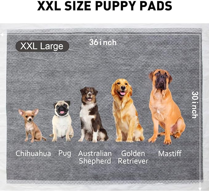 BinetGo Disposable Pee Pads for Dogs, 35 Count 30" x 36" XX-Large Wee Wee Pads for Dogs, Extra Absorbent Puppy Pads, Pet Training Pads for Dog, Charcoal Puppy Pee Pad for Indoors