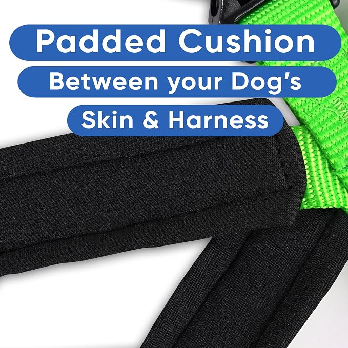Pawtitas Reflective Padded Dog Harness for X-Small Dogs – Adjustable Puppy Step-in Vest | Fits Chest 14–18 in | No Pull Training Harness | XS | Green
