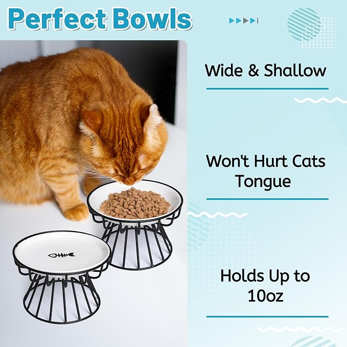 Cat Bowls, Elevated Cat Bowl, Raised Ceramic Dish with Metal Stand, Pet Water or Food Feeding Station for Indoor Cats, Kitten, Puppies and Small Dogs, Dishwasher Safe (Raised Cat Bowl(2 pack))