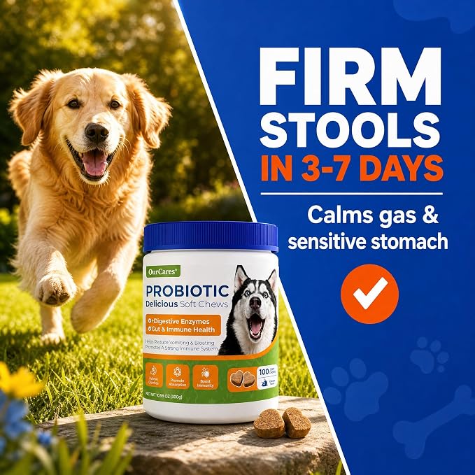 Probiotics for Dogs, Digestive Chews, Pumpkin & Enzymes, 100 Count