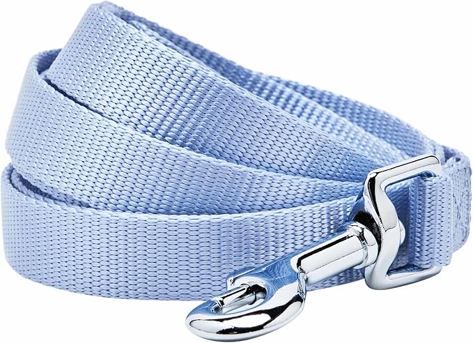 Blueberry Pet Essentials Chambray Blue Dog Leash for Small -5' * 5/8" Dogs | Heavy Duty Nylon Lead | Lightweight Puppy & Cat Leash for Walking & Training