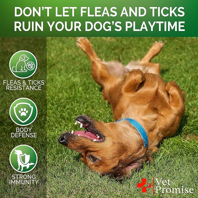 (2 Pack) Flea and Tick Prevention for Dogs Chewables - 240 Ct - Oral Pills