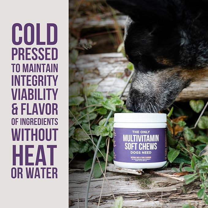 Natural Rapport Dog Multivitamin Chews, Zinc & Manganese, 120ct