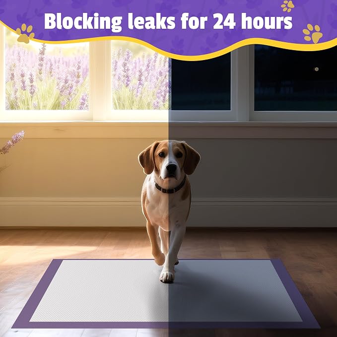 Lavender Scented Super Absorbent & Leak-Proof Puppy Pads, 30"x36" Odor Control Pet Training Dog Pee Pads, Thicken Quick Dry Pee Pads, Potty Training Pads for Dogs Cats, 30Counts