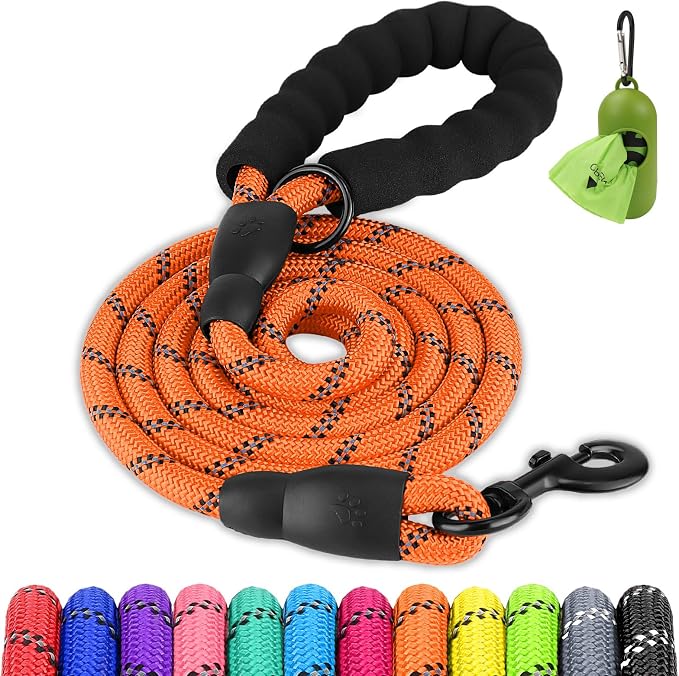 Joytale Rope Dog Leash for Small Dogs, Padded Handle, 5FT, Orange | Reinforced Nylon Webbing, Comfort Grip Eases Hand Strain, Swivel Clip Prevents Tangles, Visible at Night, for Outdoor Walks