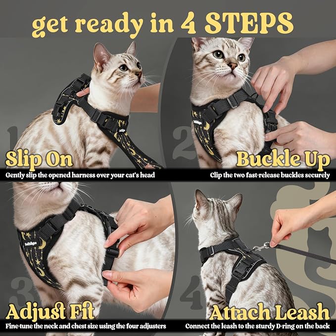 rabbitgoo Cat Harness and Leash Set, Escape Proof Vest, Lunar Prowl | Soft Breathable Mesh, Easy Adjustable Fit, Snap Buckles, Sturdy Clip, Reflective Strips, for Kittens & Small Cats Walks, Xxs