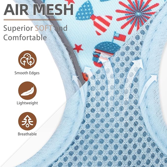 PUPTECK Dog Harness and Leash Set, No Pull Adjustable Pet Small Dog Harness, Reflective Soft Mesh Pet Vest, for Small Medium Dogs Walking, Light Blue, S