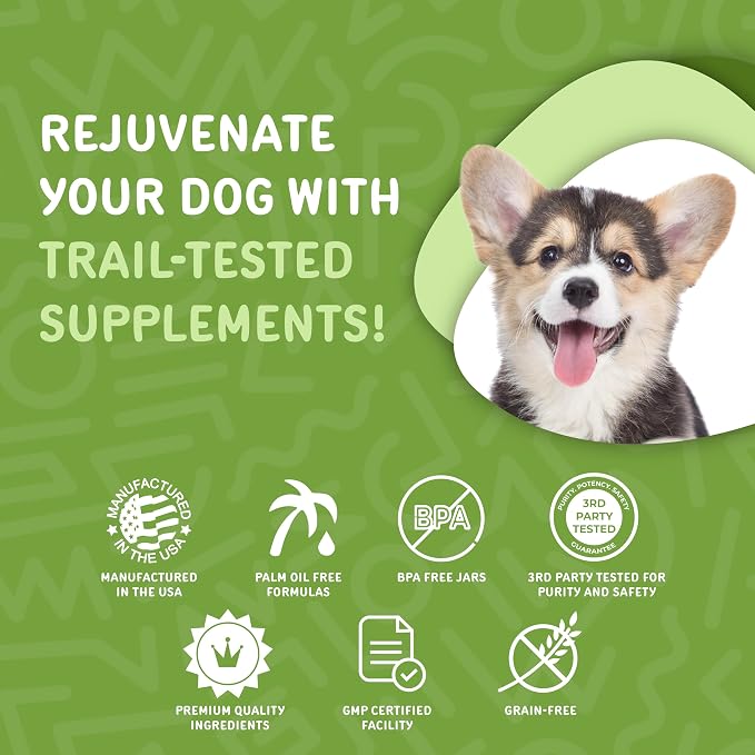 waggedy Daily Essentials Puppy – Full-Spectrum Functional Treats, Small or Large Breed Puppy Supplements – Dog Supplements & Vitamins – Dog Essentials for Puppies (60 Chews)