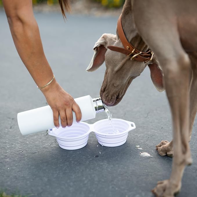 Pup Culture Dual Collapsible Dog Bowls | Silicone Travel Water Bowl for Dogs | Food Grade, No Plastic Rim, Portable Dog Bowl for Food and Water - Easy to Clean | BPA Free and Safe for Your Pup-Navy