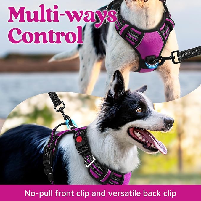 rabbitgoo Dog Harness Medium Sized, No Pull 3 Buckles Easy On & Off | Soft Padded, Walking with Control Handle, Adjustable and Reflective, Purple, Medium