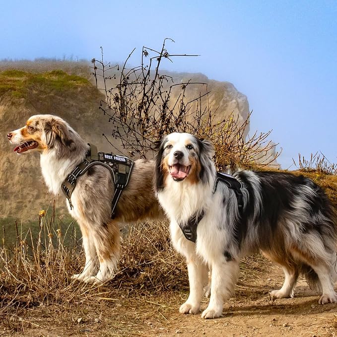 rabbitgoo Tactical Dog Harness for X-Large, No Pull Military Service Vest | Molle & Handle, Heavy Duty, Adjustable, Reflective Straps, Easy Control for Training Walking, Grey, X-Large