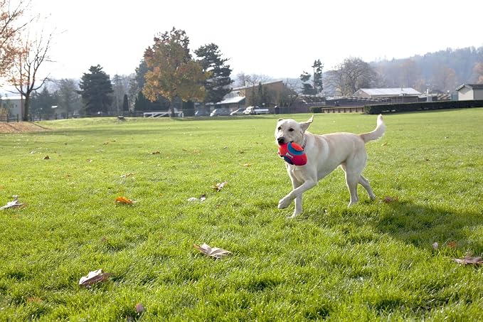 Chuckit! Fumble Fetch Dog Football - Outdoor and Indoor Interactive Dog Toy with Grooved Design for Easy Pickup - Made from Durable Rubber - Floats in Water - Small - Orange and Blue (Pack of 6)