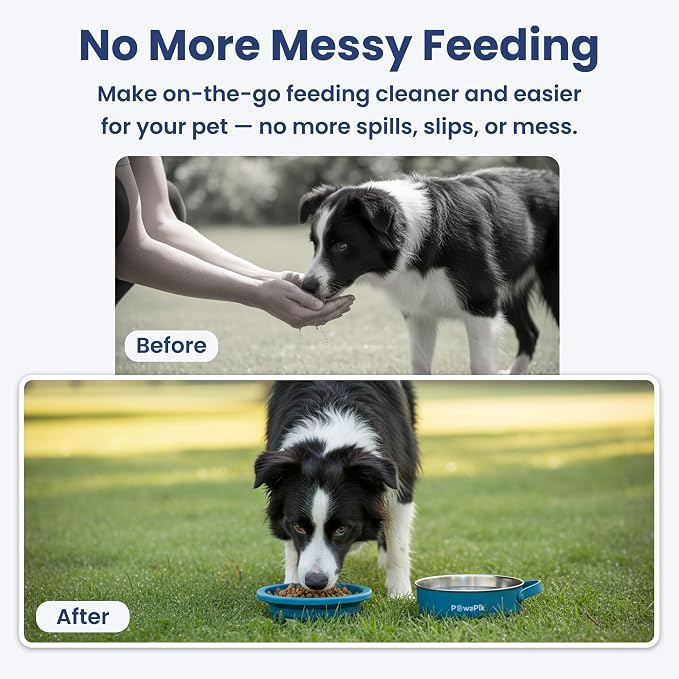 PawsPik 2-in-1 Travel Dog & Cat Bowl, Stainless Steel & Silicone, Midnight Summit Blue