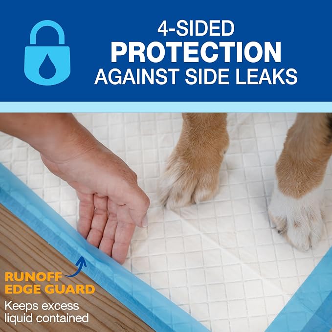 Four Paws Wee-Wee Superior Performance Pee Pads for Dogs with Runoff Barrier Edge Guard Protection, Puppy & Dog Potty Training Pads, Housebreaking Supplies, 28" x 34" (75 Count)
