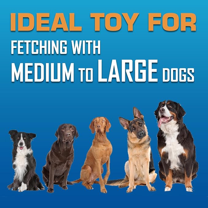 Nerf Dog Atomic Flyer Outdoor Dog Toy, 10 Inch Flying Disc Dog Fetch Toy, Rubber Dog Toy for Medium Dogs and Large Dogs, Red (Pack of 2)