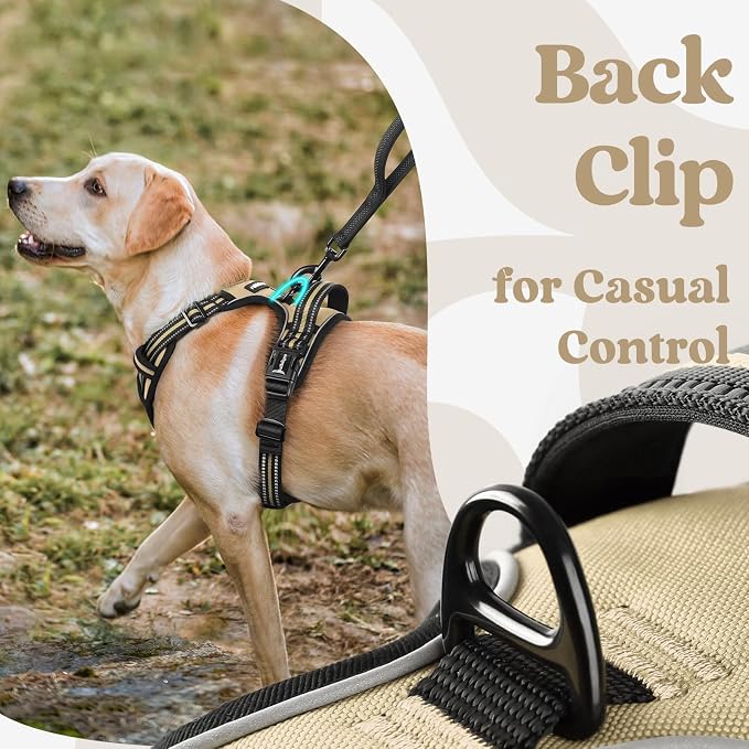 rabbitgoo Dog Harness for Large, Updated Easy On & Off with 3 Buckles | No Pull No Choke, Walking with 2 Clips and Handle, Adjustable Soft Reflective, Beige, X-large