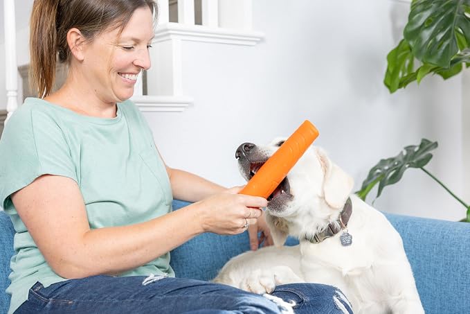 Chuckit! Super Crunch Fetch Stick Dog Toy, Durable TPR, Breeds 20-100 lbs | Enticing sound effects keep play exciting, mentally and physically engaging for medium and large sized pups, 9.2 inches long
