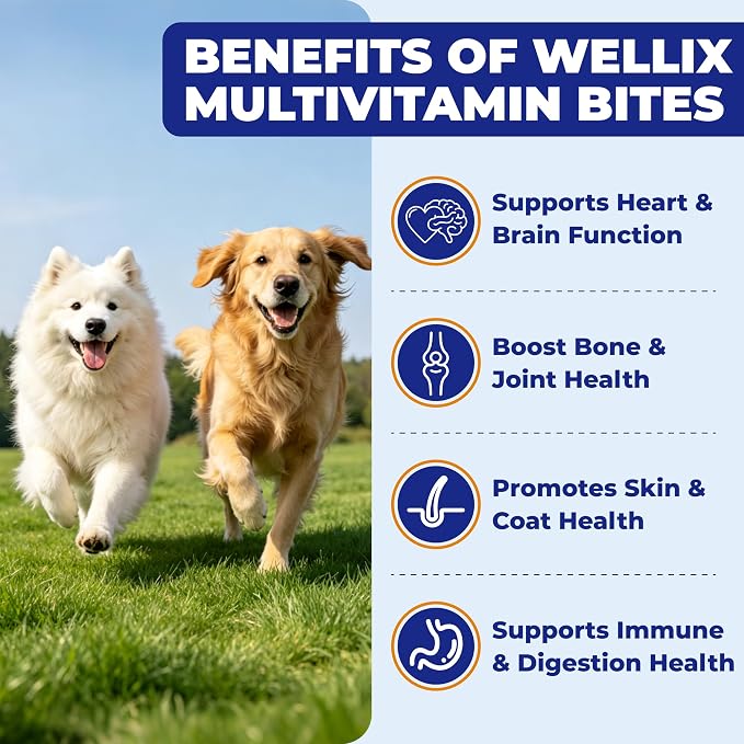 Wellix 26-in-1 Dog Multivitamin, Dog Vitamins and Supplements with Taurine | with CoQ10, Glucosamine, Probiotics & Omega-3 for Heart, Joint, Gut, Immune, Skin, Coat Health | Chicken Flavor