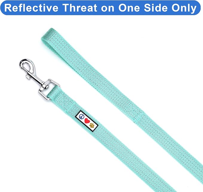 Pawtitas Teal Dog Leash 6 ft XS/S Reflective Durable Lightweight Dog Lead for Small Dogs and Puppies