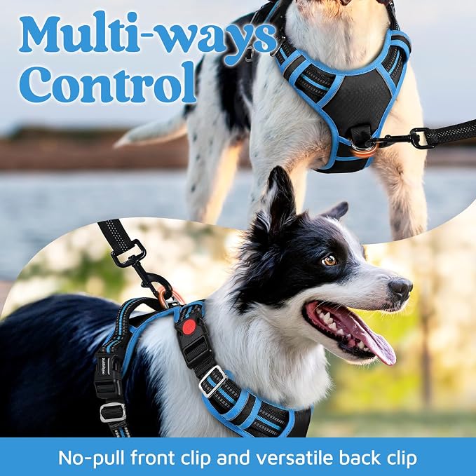 rabbitgoo Dog Harness Medium Sized, No Pull 3 Buckles Easy On & Off | Soft Padded, Walking with Control Handle, Adjustable and Reflective, Black & Blue, Medium