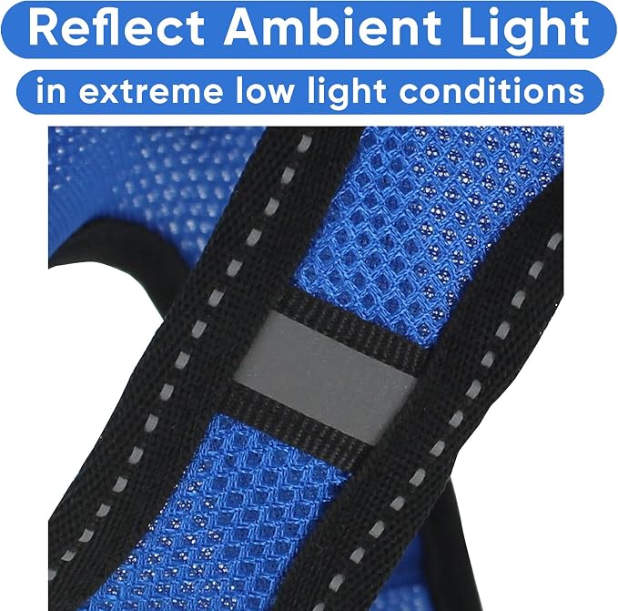 Pawtitas Dog Vest Harness Made with Breathable Air Mesh | All Weather Vest Harness for Extra Small Puppies and Large Cats with Quick-Release Buckle - Extra Small Blue Mesh Dog Harness