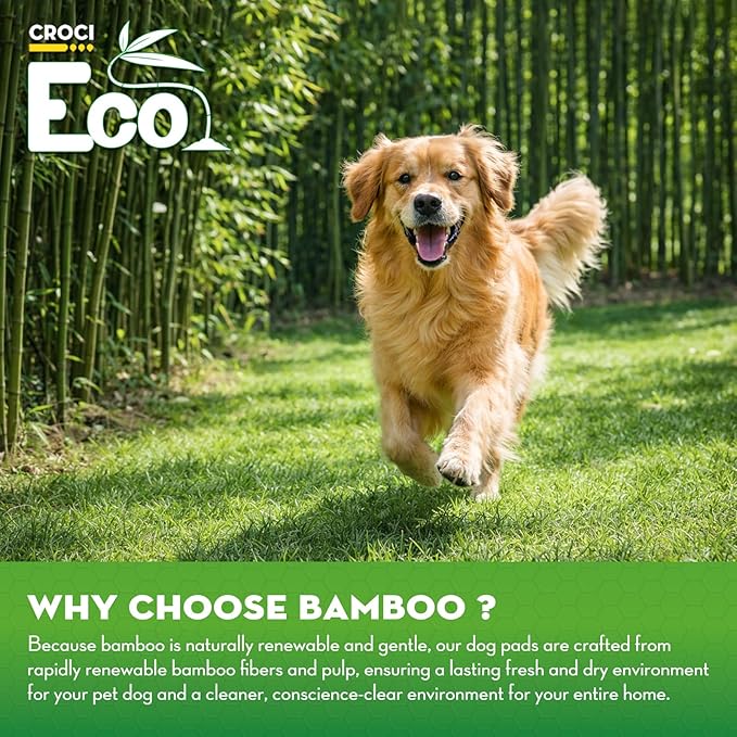 CROCI Pee Pads for Dogs, 30"x36" XXL Puppy Pads, 2X Odor-Control with Charcoal & Bamboo Material, 4-Corner Adhesive Tabs, Super Absorbent & Leak-Proof (40 Counts)