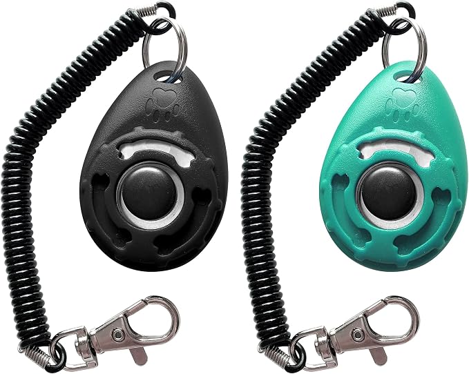 Pet Training Clicker with Wrist Strap, Black/Bluegreen