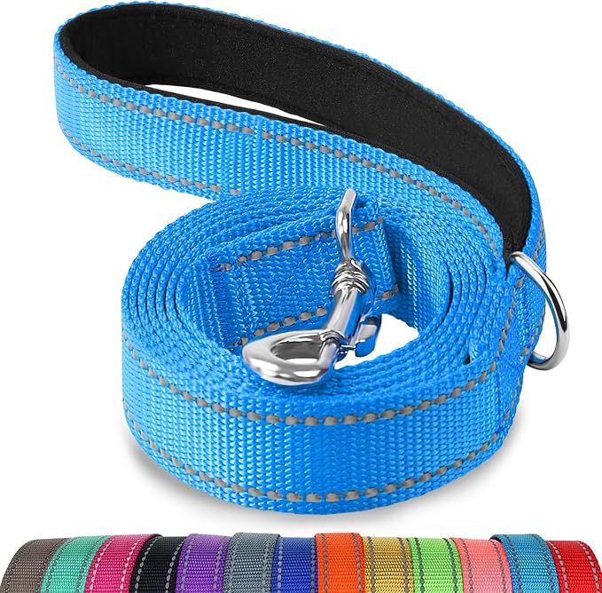 Joytale Reflective Dog Leash for Small Dogs, 5 FT x 3/4", Sky Blue | Heavy Duty Nylon Webbing, Padded Handle for Comfort, Visible at Night, for Walking & Training